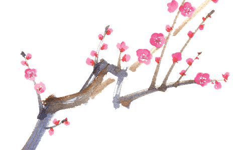 旬の市からお知らせ