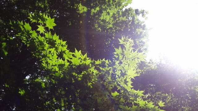 七ヶ宿町森林組合