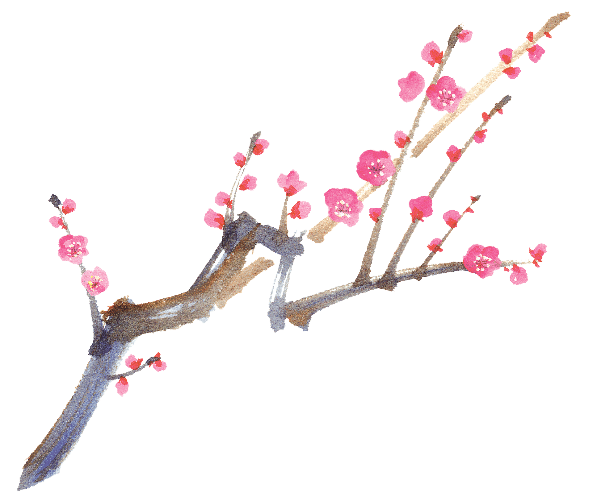 旬の市からお知らせ